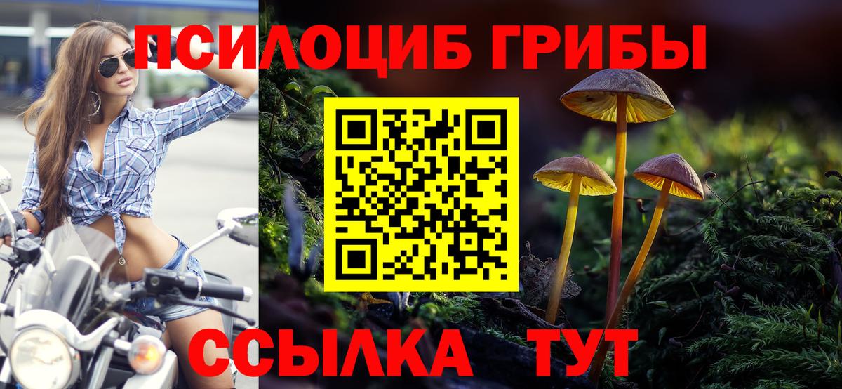 МЕФ Новый Уренгой