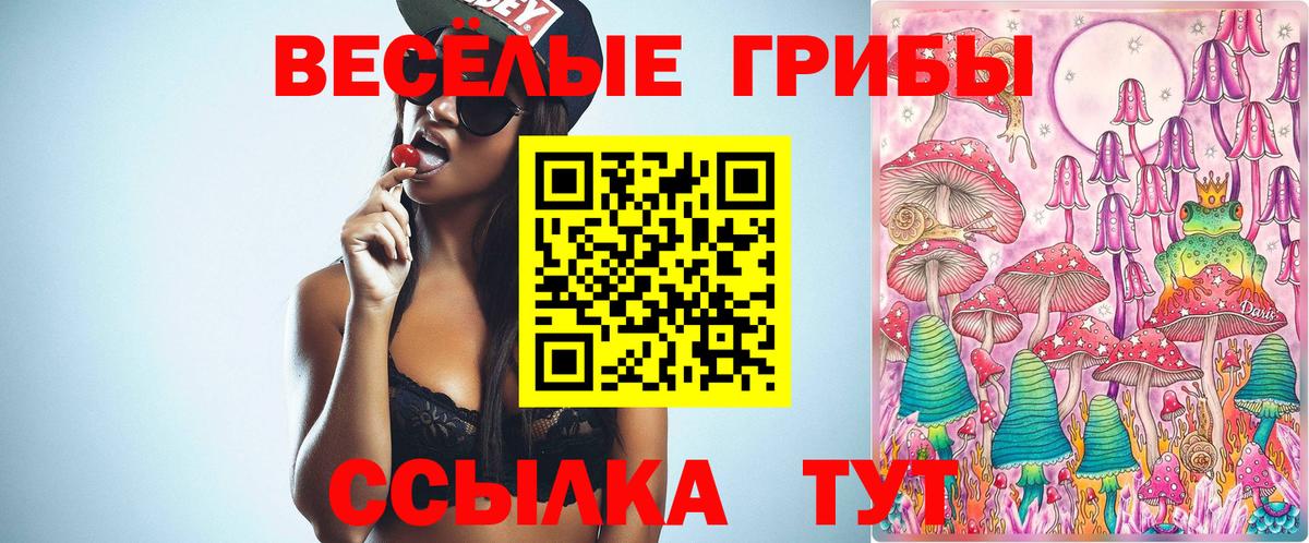 Новый Уренгой  цены   Вход с VPN  Псилоцибиновые грибы мухоморы 